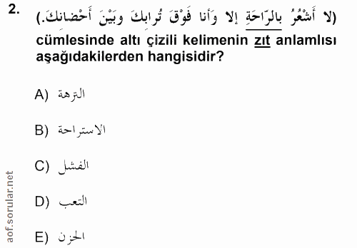 Soru 2