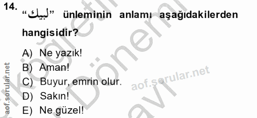 Soru 14