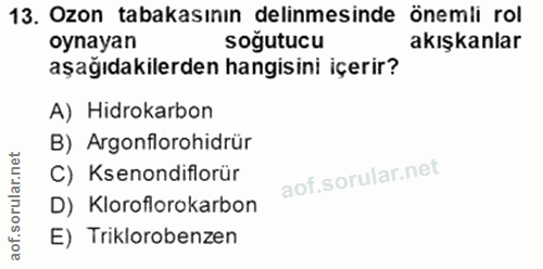 Soru 13