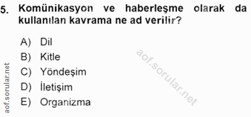 Soru 5