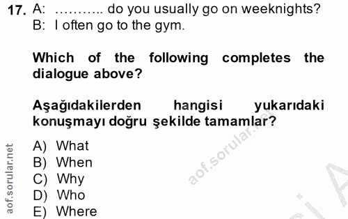 Soru 17