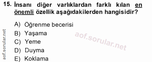 Soru 15