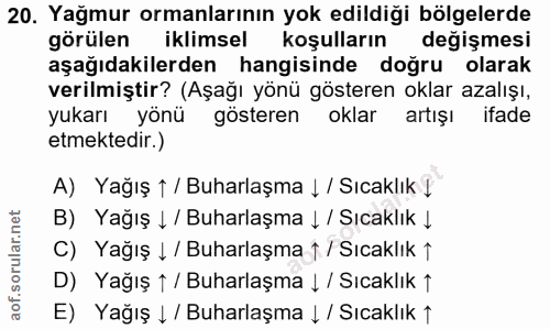 Soru 20