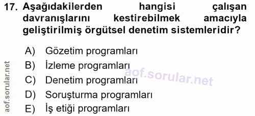 Soru 17