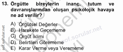 Soru 13