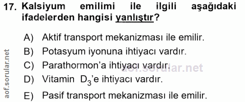 Soru 17