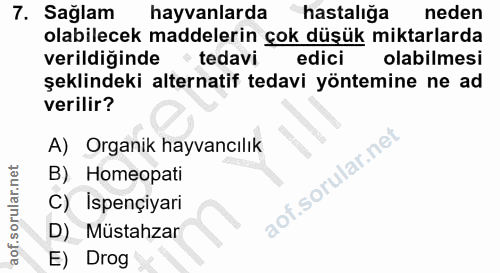 Soru 7