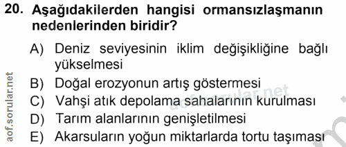 Soru 20