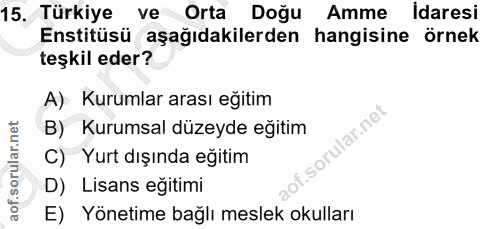 Soru 15