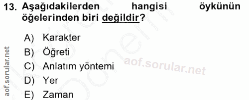 Soru 13