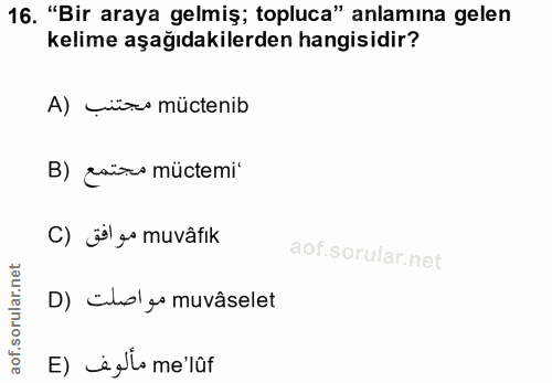 Soru 16