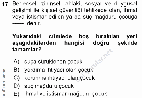 Soru 17