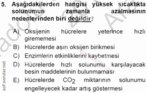 Soru 5