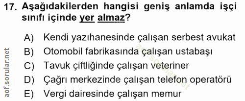 Soru 17