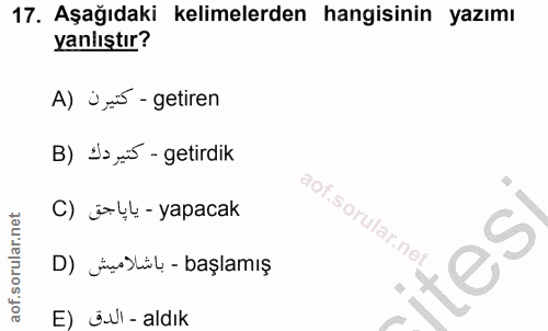 Soru 17