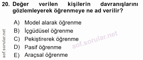 Soru 20
