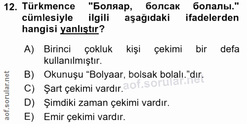 Soru 12