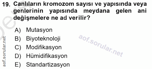 Soru 19