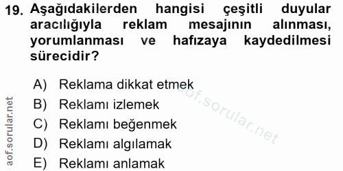 Soru 19