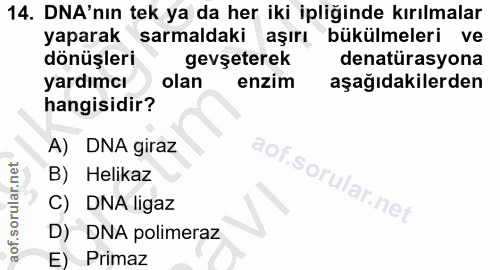 Soru 14