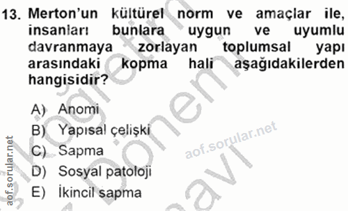 Soru 13