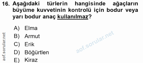 Soru 16