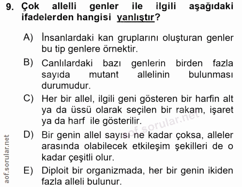Soru 9