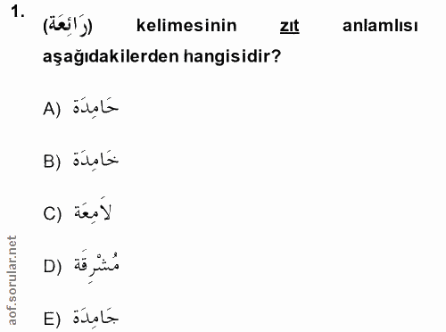 Soru 1