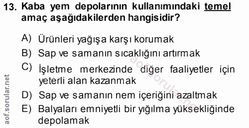 Soru 13