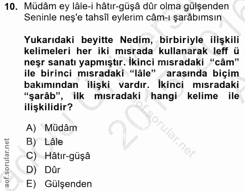 Soru 10