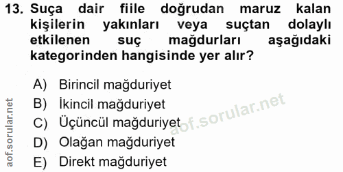 Soru 13