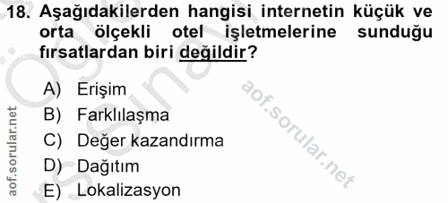 Soru 18