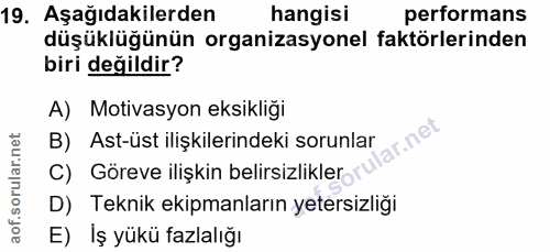 Soru 19
