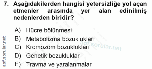 Soru 7