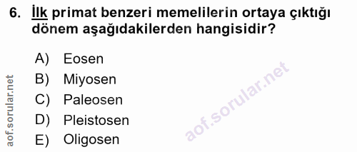 Soru 6
