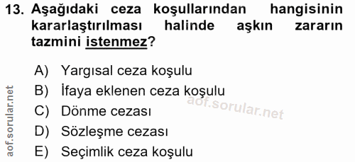 Soru 13