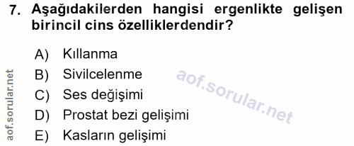 Soru 7