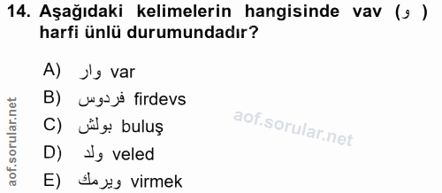 Soru 14