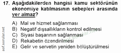 Soru 17