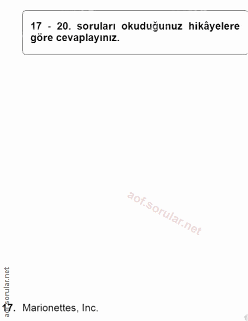 Soru 17