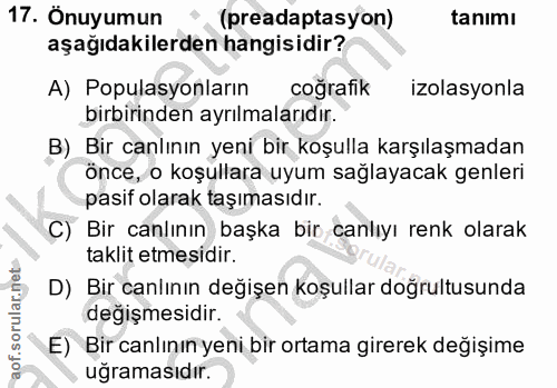 Soru 17