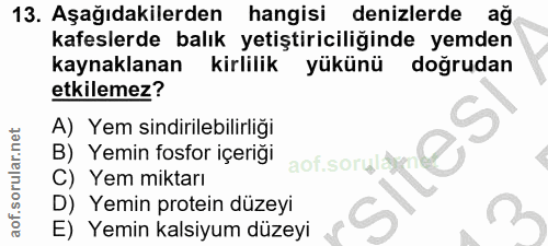 Soru 13