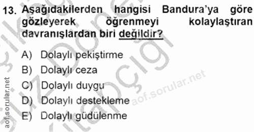 Soru 13