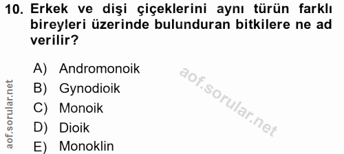 Soru 10