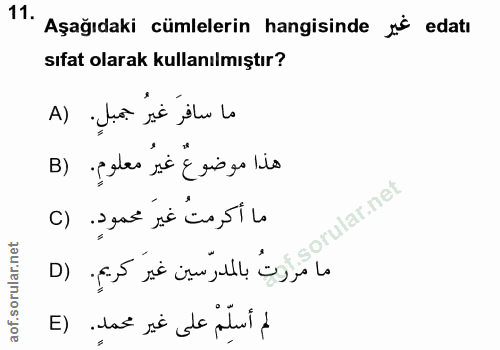 Soru 11