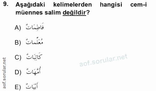 Soru 9