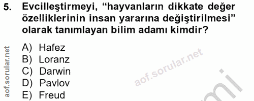 Soru 5