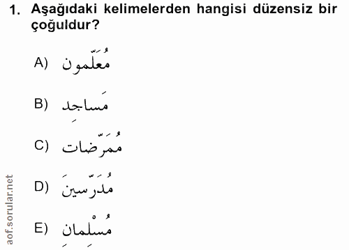 Soru 1