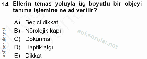 Soru 14