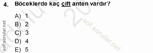 Soru 4